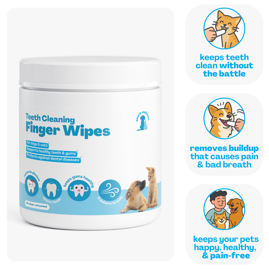 Dental Wipes