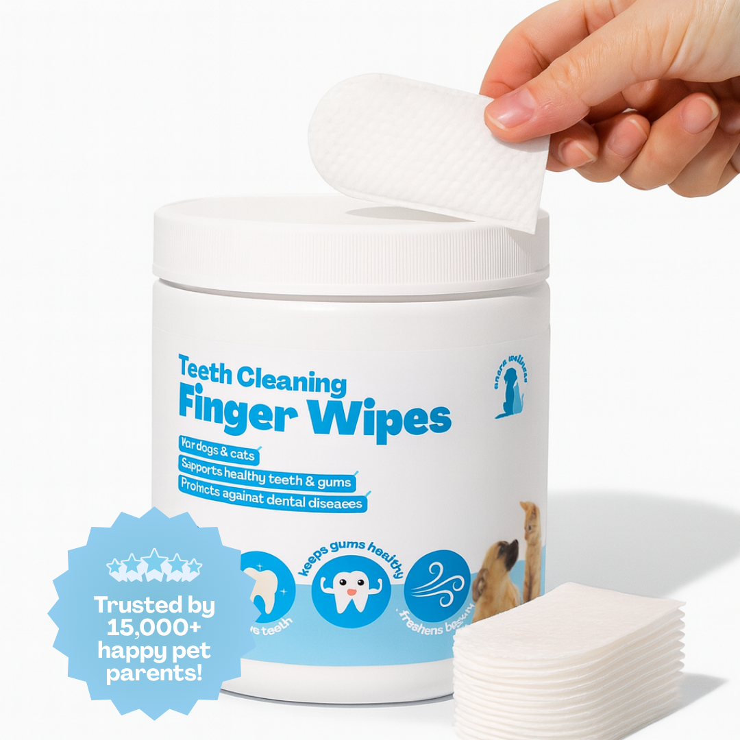 Dental Wipes